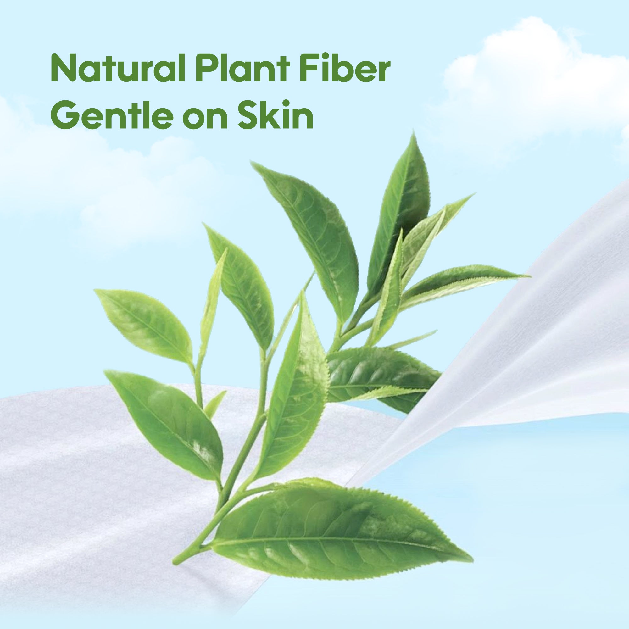 Fresh Organic Aloe Baby Wipes